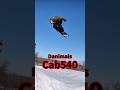 ダニマルズのCab540を分析