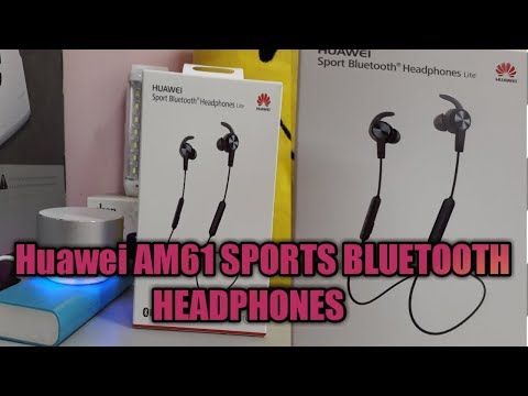 Huawei 6369A-AM61 In-Ear SPORT Kopfhörer Lite mit Mikrofon AM61 Schwarz