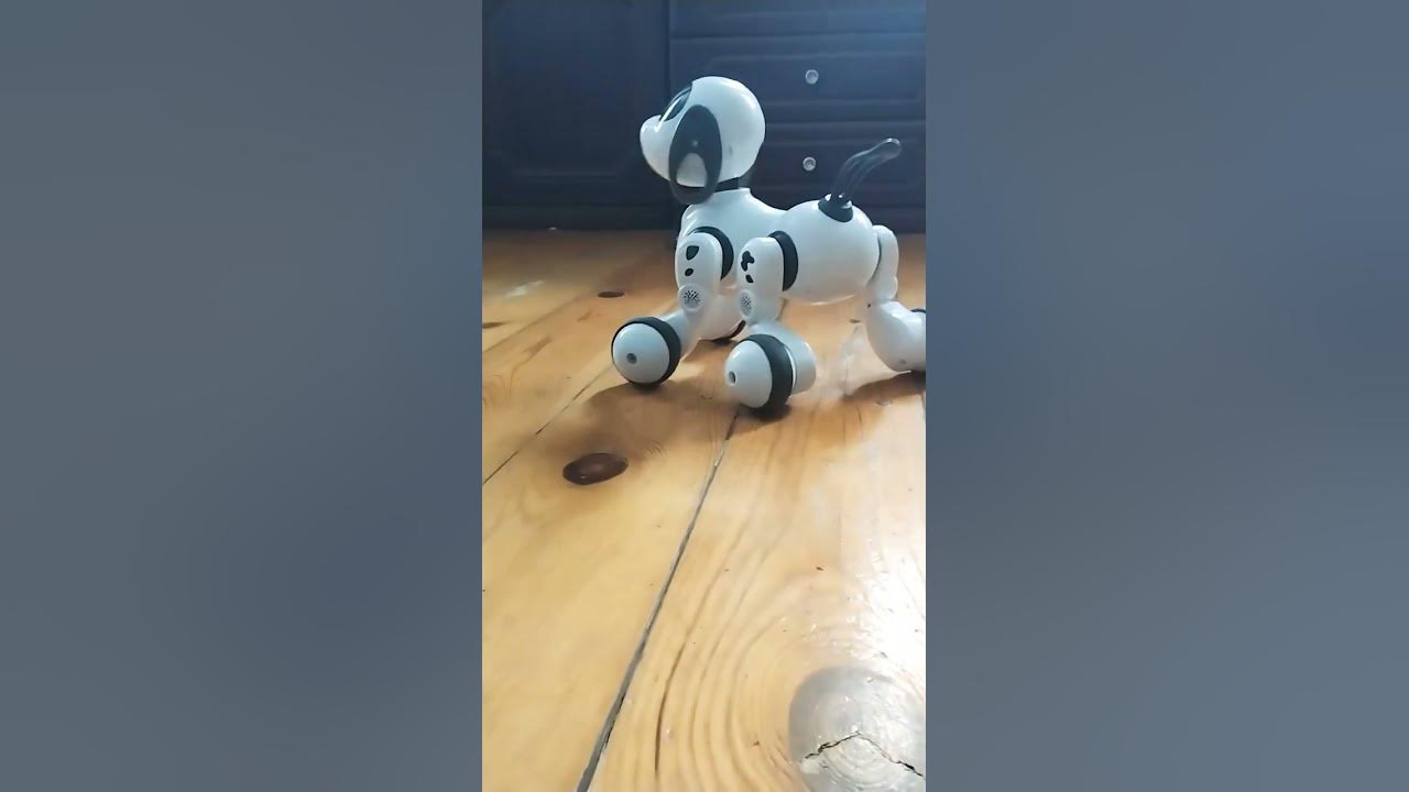 робо-собака🐶🤣🤣🤣 - YouTube