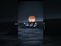 كلما دخل عليها زكريا المحراب وجد عندها رزقا قال يا مريم أنى لك هذا سورة آل عمران سيد سعيد 