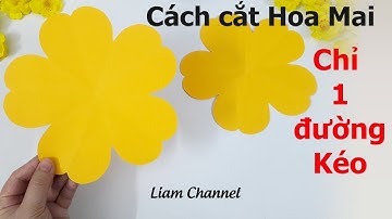 Cách cắt Hoa Mai trang trí Tết | How to make 5 petal hand cut paper flowers - DIY | Liam Channel