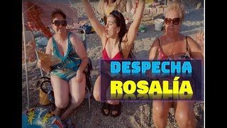 Rosalia - Despechá
