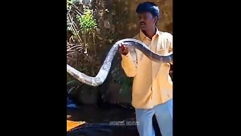 vava suresh sad status🥺💔#shorts #sad #malayalam