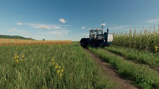 Farming Simulator 22; Новые культуры