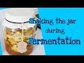 Homemade laundry detergent  how often do we shake the jar during fermentation