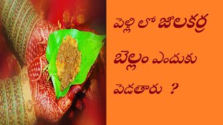పెళ్లి లో జీలకర్ర బెల్లం ఎందుకు పెడతారు ? | Importance of Jeelakarra Bellam In marriages