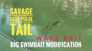 Big Swimbait modification, Savage Gear line through pulse tail wake bait! 