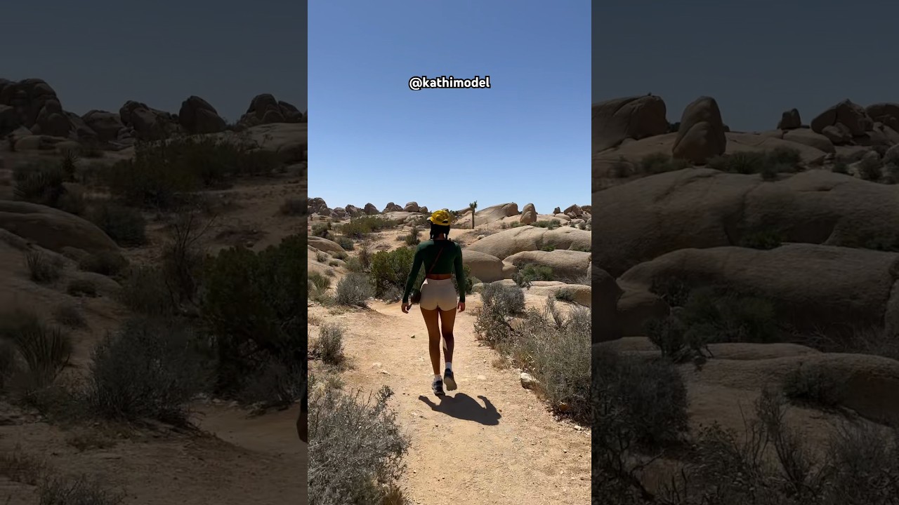 Through the Mojave Desert