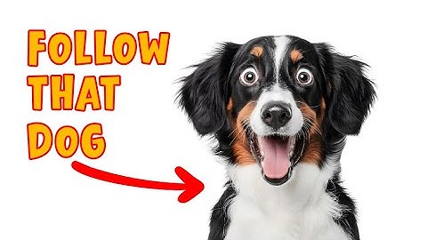 Week 9 – Using AI as a Creative Partner