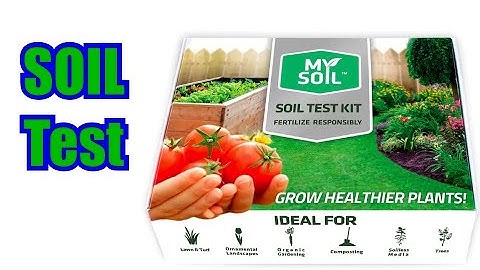 How To Do A Soil Test | Lawn Coaching Lawn Walk Through