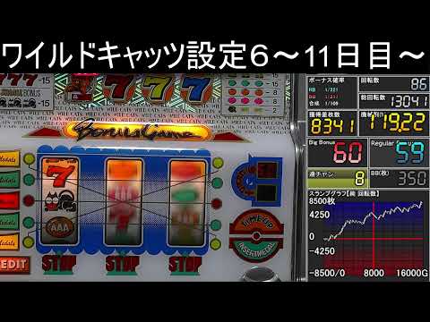 【ワイルドキャッツ】設定６～11日目～