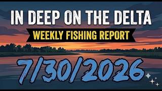 The In Deep On The Delta Weekly Fishing Report For 7/30/2026.