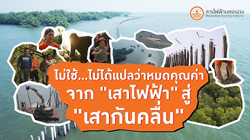 หายไป เพื่อสิ่งใหม่ที่เติบโต