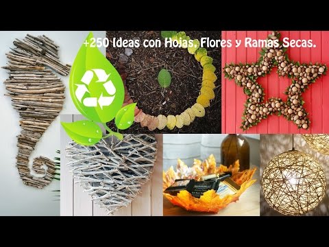 Reciclar hojas, flores y ramas secas / recycling leaves, flowers ... Ramas secas con flores