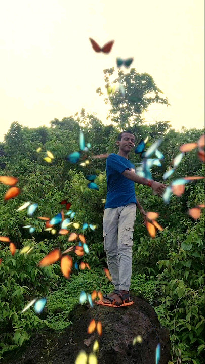 How to do butterfly editing in capcut #viral #shorts #edit edi