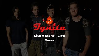 Audioslave - Like A Stone LIVE | Ignita Cover