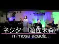 遊佐未森さんカバー:『ネクター』