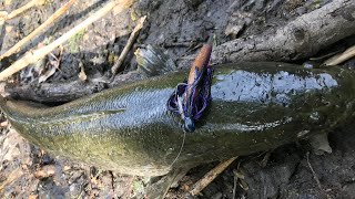 Fishing for Philadelphias Most Pressured Fish