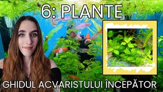 6/18 PLANTE - GHIDUL ACVARISTULUI ÎNCEPĂTOR