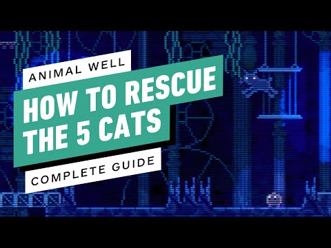 : Guide - How To Save The 5 Cats