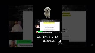 Crypto Influencer Loses His Mind on Stream DeFiCharles @ATXCrypto  dog doglover cryptocurrency