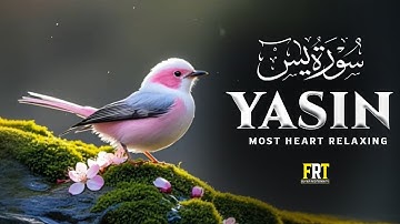 Surah Yaseen (Yasin) سورة يس | Ultimate Relaxation & Emotional Healing Through Quran | #surahyasin