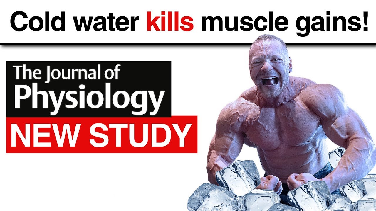 Cold Water Kills Muscle Gains New Study! YouTube