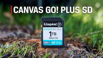 Class 10 SD Card - UHS-I, U3, V30 - Canvas Go! Plus SD - Kingston Technology