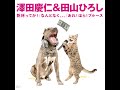 2021.7.3 澤田慶仁&田山ひろし【乾杯ってか!】新曲キャンペーン隠し撮り?!またケンカ勃発!! A-force公式チャンネル