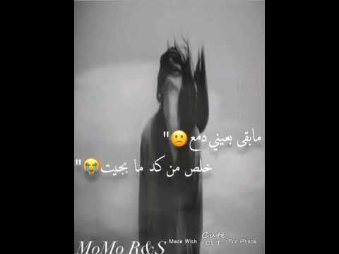 لا منرجع لا تصميمي