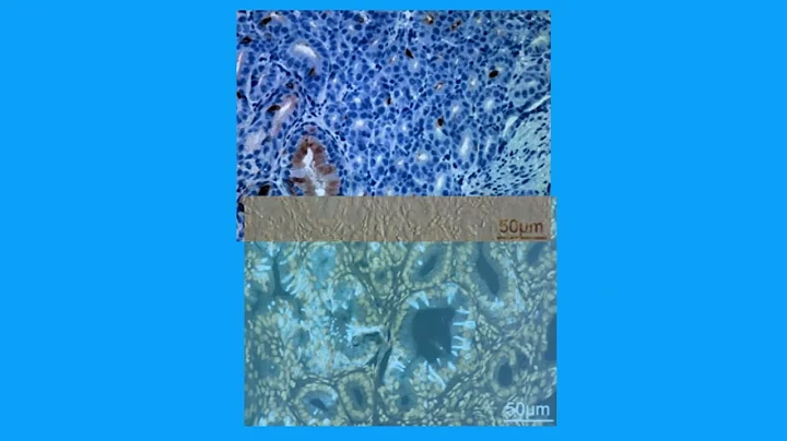 7C6EFECAD1B5F78C8842ED64DFBC99#1