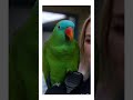 PARROT AND POLICE FUNNY VIDEO #funny #whowillbemylifepartnerta #policeofficer #parrot #lifeisbutadre