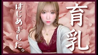 【ルルクシェル】1番好きな育乳ブラに出会った【めざせ美乳】#ナイトブラ #バストアップ #ノンワイヤーブラ