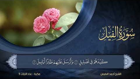 105 سورة الفيل بصوت القارئ أحمد النفيس