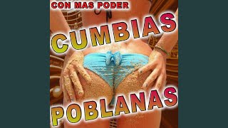Video thumbnail of "Cumbias Poblanas - Cuando Volveras"