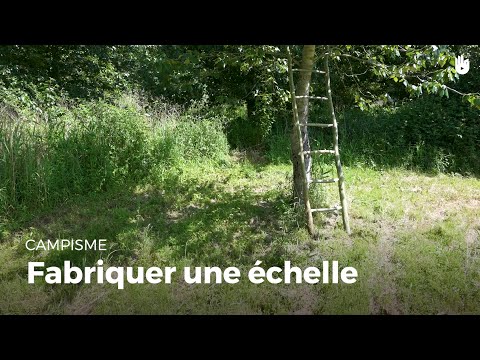 Vidéo: Comment Construire Une échelle