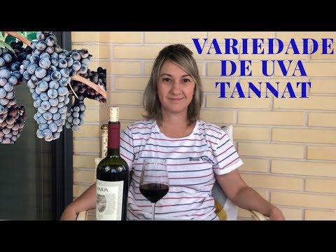 Uva Tannat -  tudo sobre essa variedade
