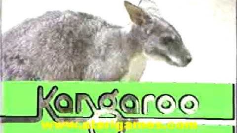 Atari Kangaroo - Dealer promo