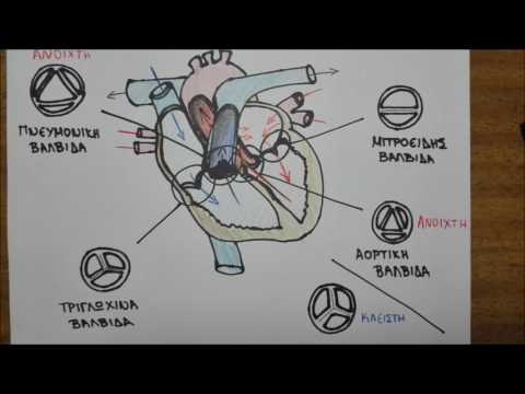 Βίντεο: Ποιος είναι ο σκοπός μιας βαλβίδας αντιστάθμισης;