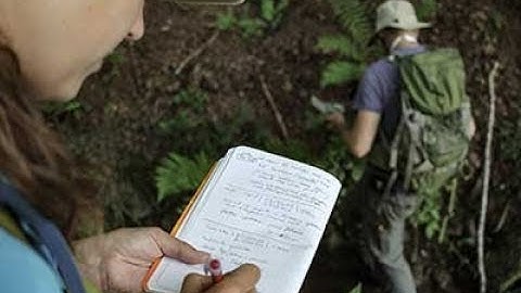 Early Career Webinar: Essential Skills for a Modern Economic Geologist