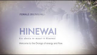 Download Lagu HINEWAI - Female (Bilingual) MP3 Download Lagu HINEWAI - Female (Bilingual) MP3