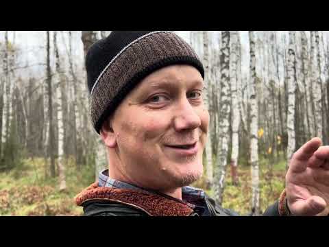 Грибные новости 18 октября ! Грибы 2024 !