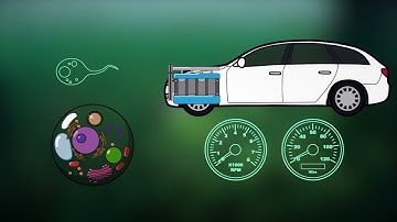 The Engine and Chassis Model of Primary Plastid Endosymbiosis: Tansley Insight in New Phytologist