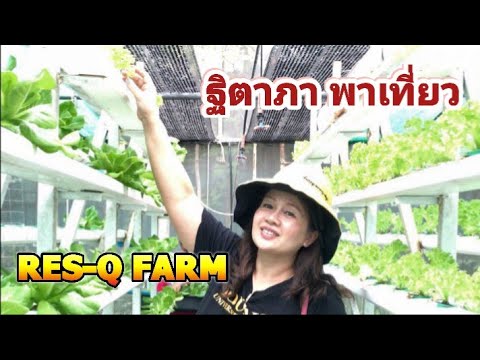 ฐิตาภา  พาเที่ยว  RES-Q FARM ปลูกผัก HYDROPONIC ค่าไฟ ศูนย์บาท แต่ทำรายได้มหาศาล ตอนที่ ๑