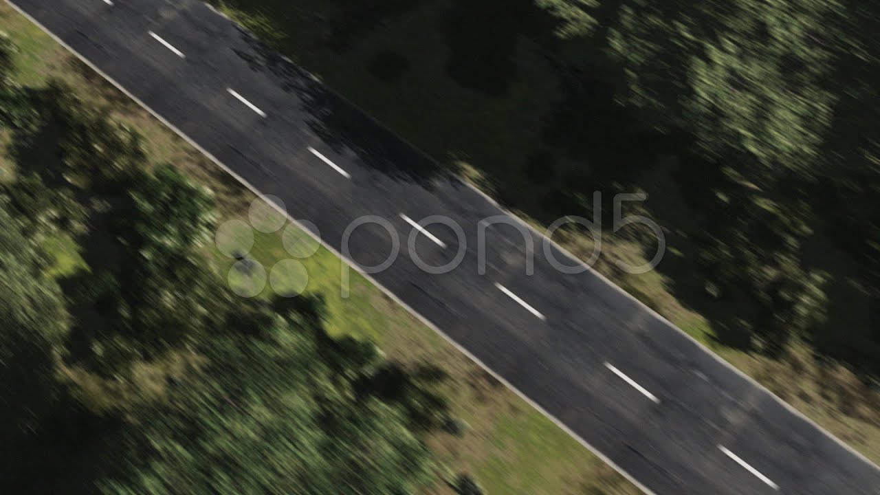 Forest Road. Stock Footage
