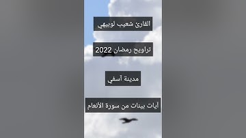 شعيب لوبيهي #سورة #الأنعام - آيات بينات
