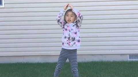 Deciduous Trees, Evergreen Trees Song by Heather Lee