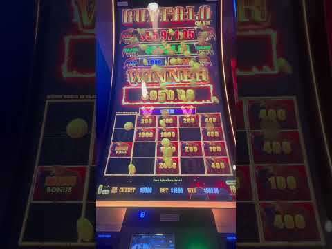 Winpot venWP puebla
