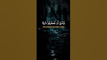 وعسى أن تكرهوا شيئا وهو خير لكم وعسى أن تحبوا شيئا وهو شر لكم [ البقرة: 216] القارئ مشارى العفاسي