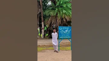 My Village Rokhri Mianwali Punjab Pakistan Song Coversong Jubinnautiyal Arijitsingh Bollywood 